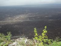 Wanderung zum Vulkan Sierra Negra