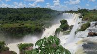 Wasserfälle von der argentinischen Seite