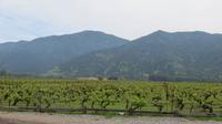 Weinanbaugebiet Casa Silva