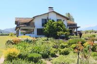 Weingut Casa Silva
