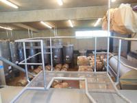 Weingut Matetic 