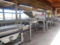 Weingut Matetic 