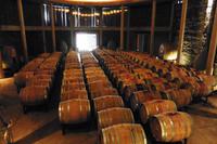 Weingut Matetic