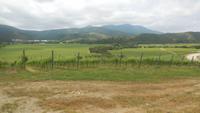 Weingut Matetic
