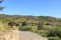Weingut Matetic