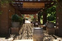 Weingut Matetic