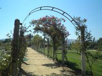 Weingut Matetic