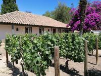 Weingut Santa Rita