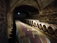 Weingut Santa Rita