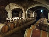 Weingut Santa Rita