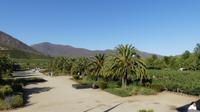 Weingut Viña Veramonte 