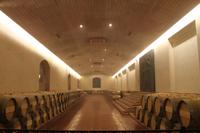Weinprobe im Maipo-Tal 