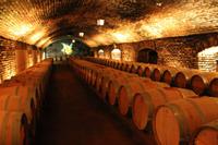 Weinprobe im Maipo-Tal 