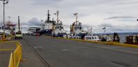 Weiterfahrt von Punta Arenas 