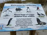 Yorke Bay