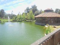 im Rosengarten