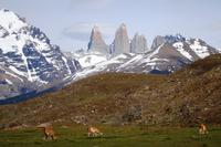 las torres