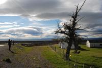 unterwegs nach Puerto Natales