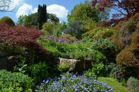 076 Heather Castle and Garden