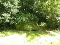 Lost Gardens of Heligan