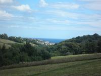 Lost Gardens of Heligan