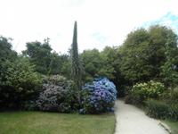 Lost Gardens of Heligan