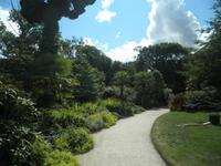 Lost Gardens of Heligan