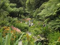 Trebah Garden
