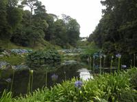 Trebah Garden