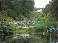 Trebah Garden