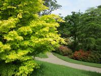 Lanhydrock House and Gardens