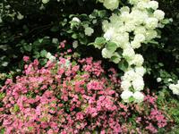 Lanhydrock House and Gardens