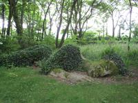 The Lost Gardens of Heligan