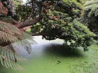 The Lost Gardens of Heligan