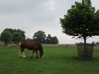 The Lost Gardens of Heligan
