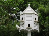 The Lost Gardens of Heligan