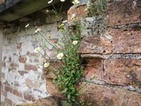 The Lost Gardens of Heligan