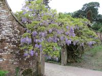 The Lost Gardens of Heligan