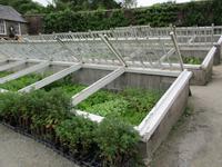 The Lost Gardens of Heligan