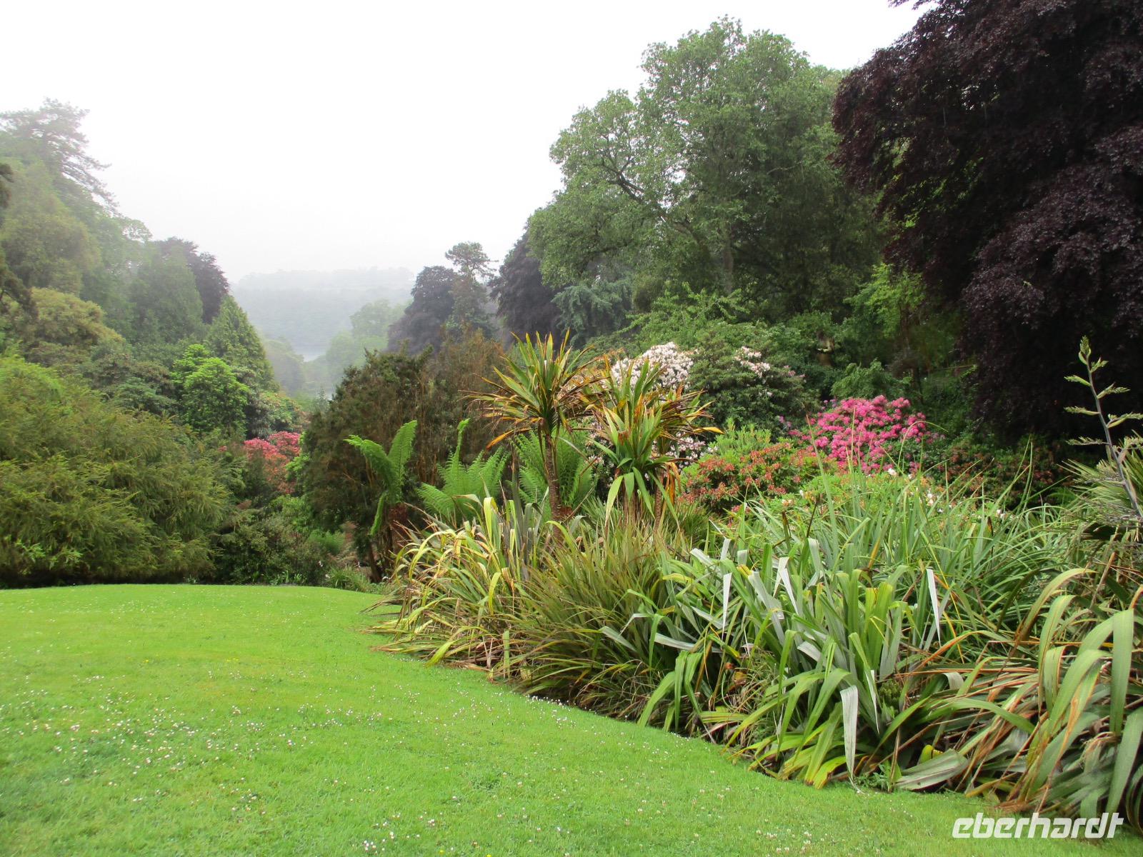 Trebah Garden