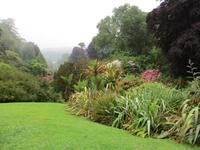 Trebah Garden