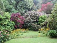 Trebah Garden