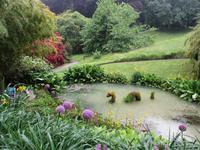 Trebah Garden