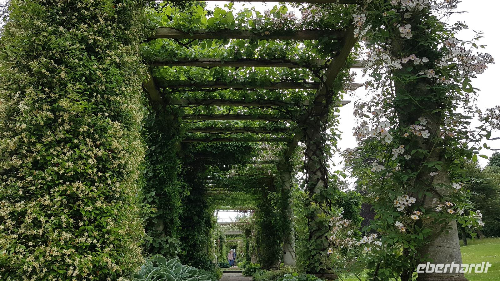 West Deans Gardens 20180617 140616