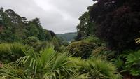 Trebah Garden 20180620 173229