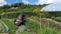 Eden Project 20180621 123519