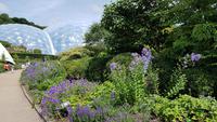 Eden Project 20180621 123654
