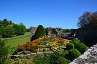 162 Leeds Castle and Garden