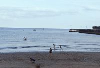 Abendbad in Paignton