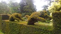 311 Knightshayes Court